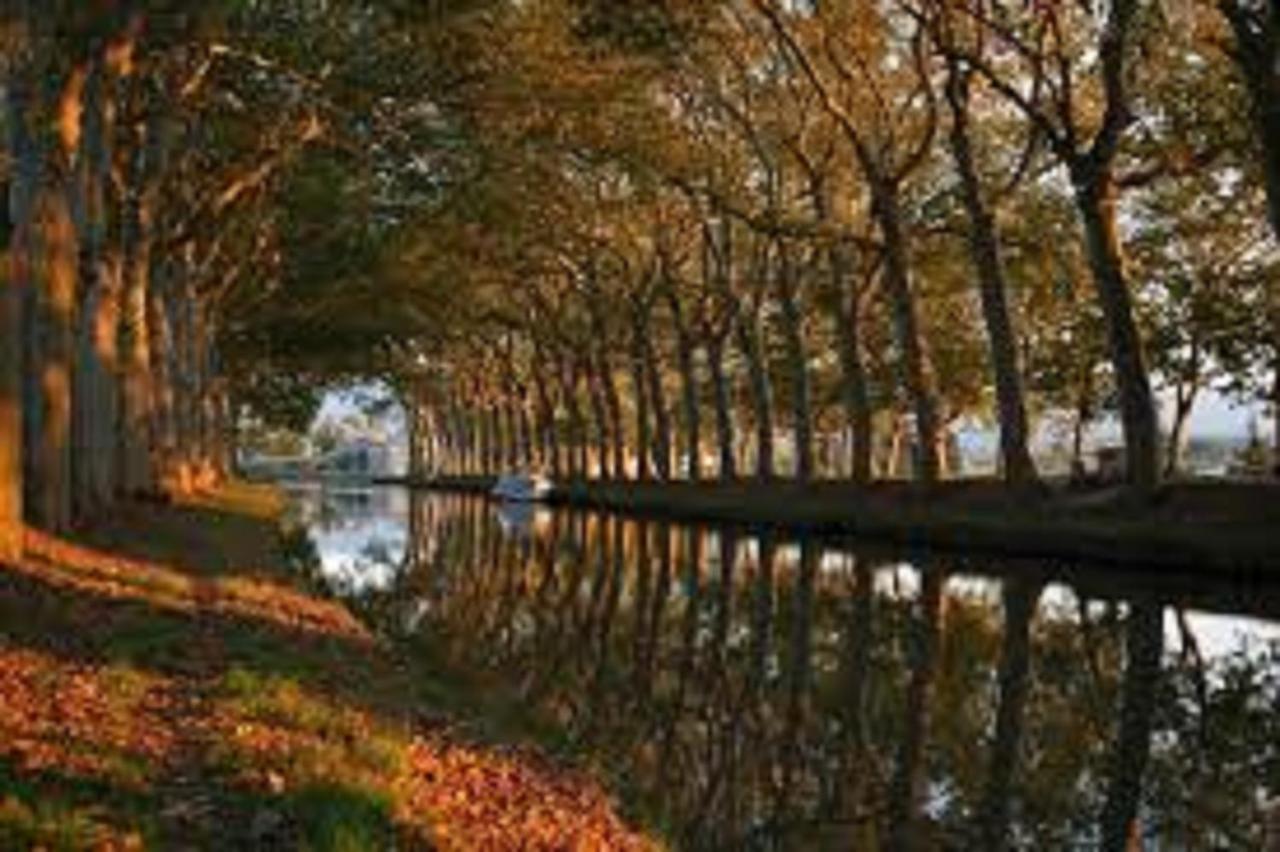 Апартаменты Au Pied De La Cite Каркассон Экстерьер фото
